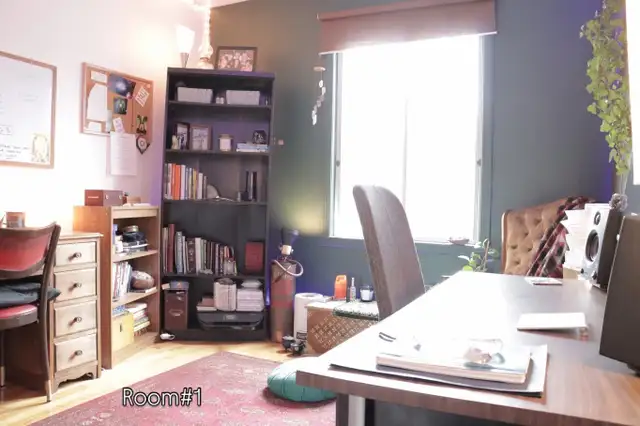 Je cherche un/e coloc. Looking for a roommate. in Room Rentals & Roommates in City of Montréal - Image 8