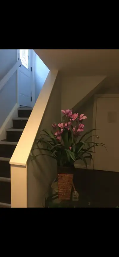 North York Basement Room Rent