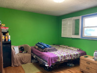 Looking for ONE Girl to share furnished Room with female student