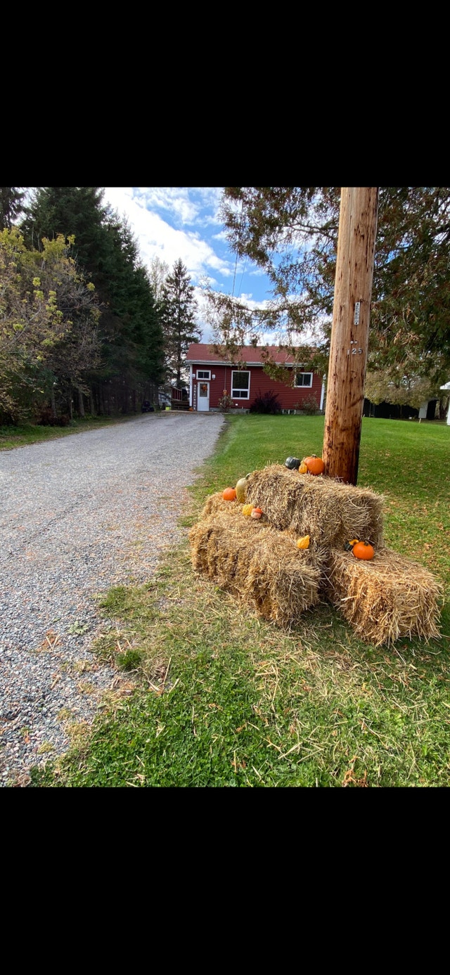 House for sale Houses for Sale Sudbury Kijiji
