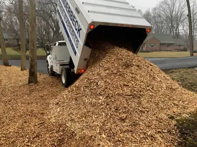 Wanted: Free wood chips / mulch, View more
