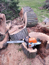 Tree Cutting and pruning services