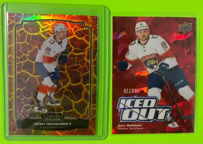 Sam Reinhart Florida Panthers Lot, View more