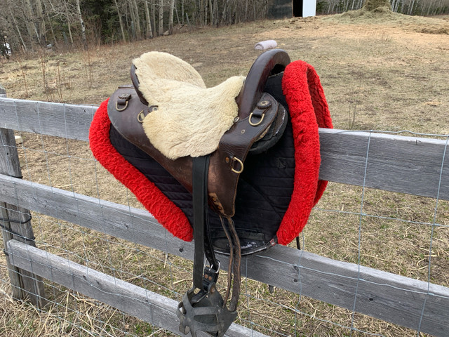 Specialized Endurance Saddle 15” in Equestrian & Livestock Accessories in Calgary
