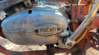 1967  Ducati Mountaineer 100