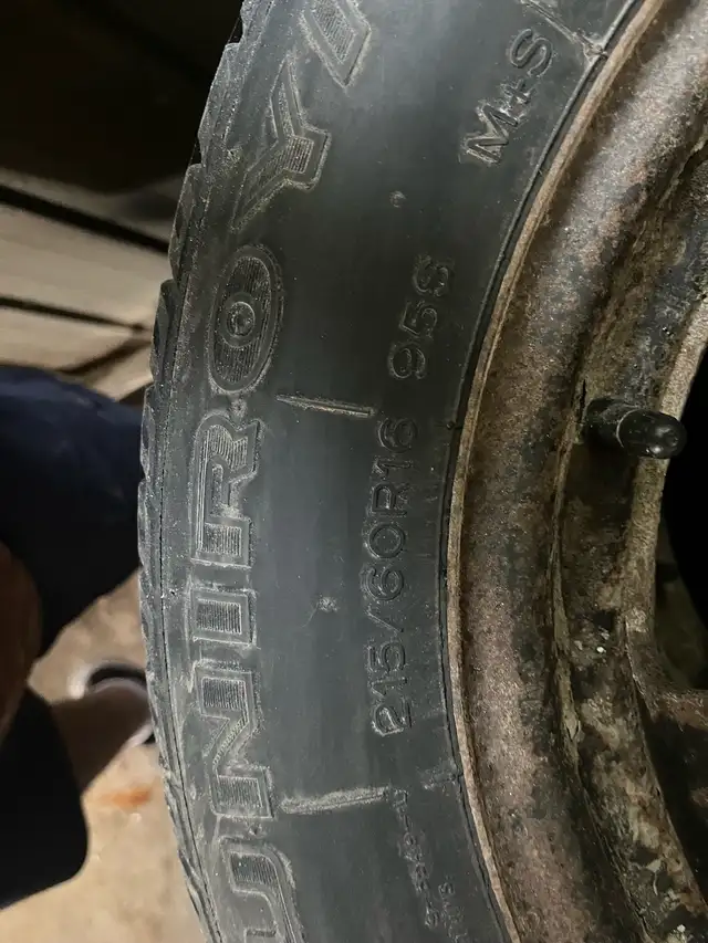 winter tires and rims in Tires & Rims in Grand Bend - Image 3