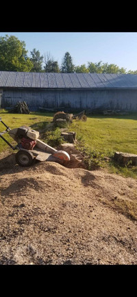 Stump grinding/yard clean up