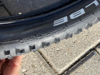 Rapid Rob bike tires 