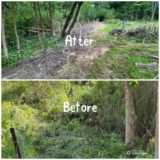 Excavation! Grading! Servicing! 63007357925891121