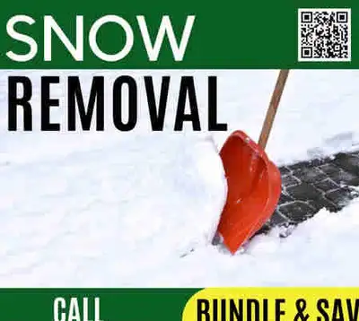 Professional Snow Removal, View more