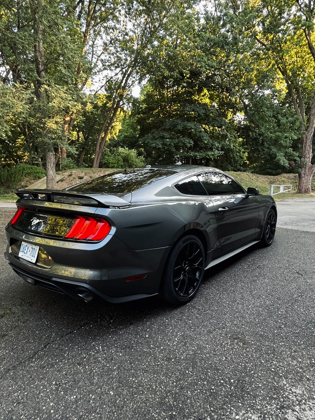 2019 Mustang in Cars & Trucks in Mississauga / Peel Region