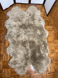 Shag rug 4’ x 6’