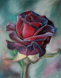 Painting "Royal rose". Handmade, streched canvas, oil.
