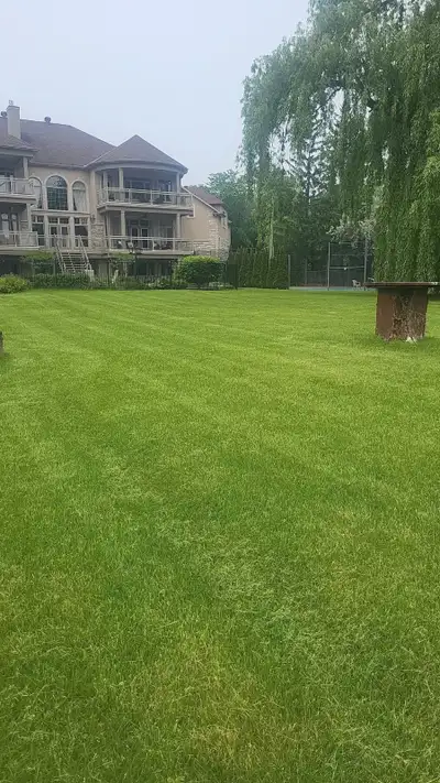 Seasonal lawn care services, View more