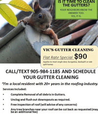 Gutter Cleaning | Eavestrough Cleaning 