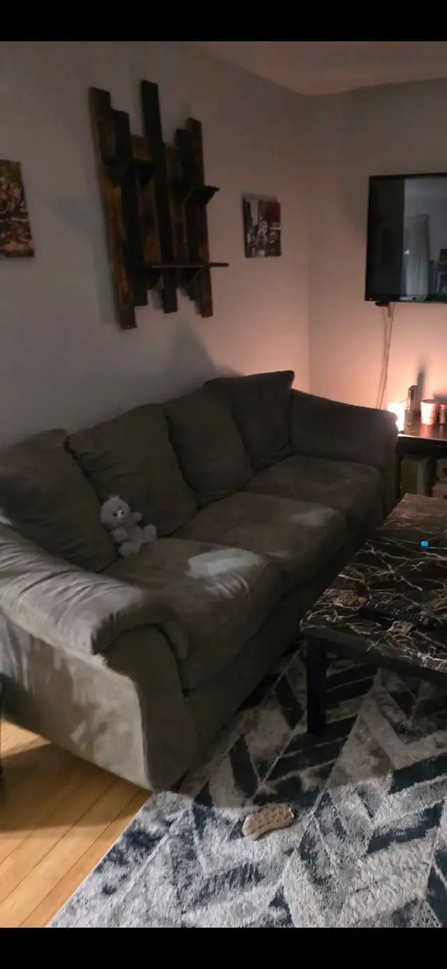 couch good shape 62864744449410121