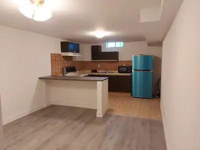 1 bed basement apartment newly renovated washer dryer in unit
