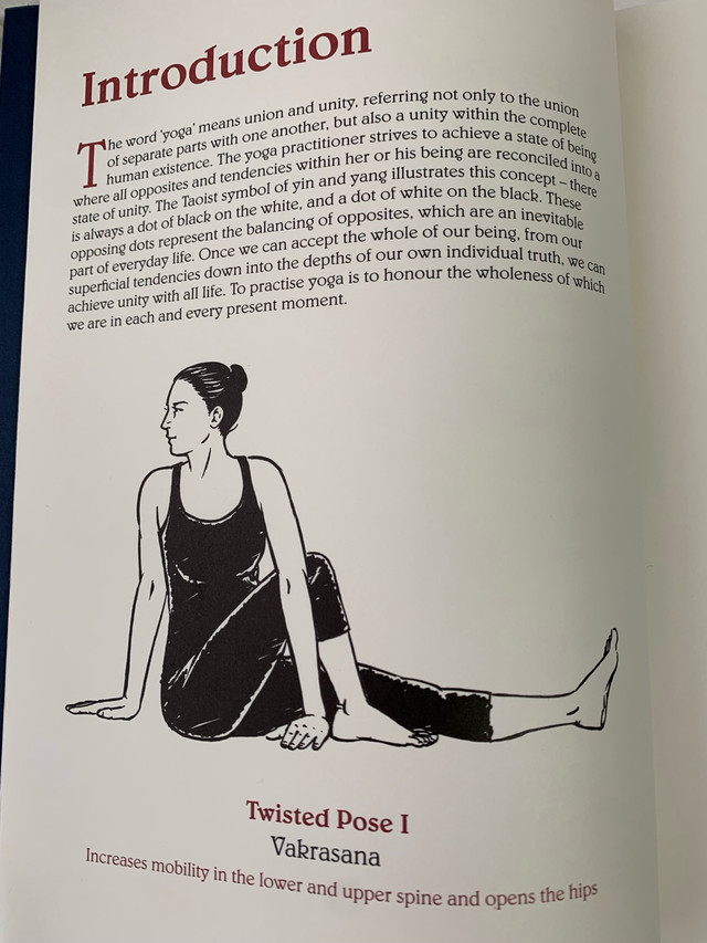 Yoga, Chinese Binding, like new, hardcover in Fiction in Ottawa - Image 3