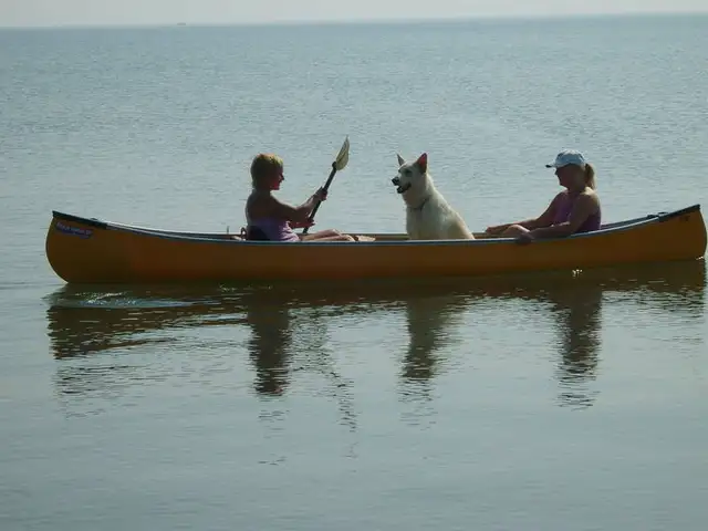 CANOE INVENTORY CLEAROUT SALE ON ALL KEVLAR CANOES. in Canoes, Kayaks & Paddles in Hamilton - Image 7
