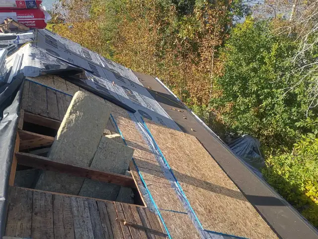 Roofing Repairs/Replacements584651860335011842