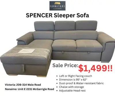 ✨Sleeper Sofa Ideal for Pet Parents‼️️, View more