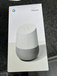 New Google home