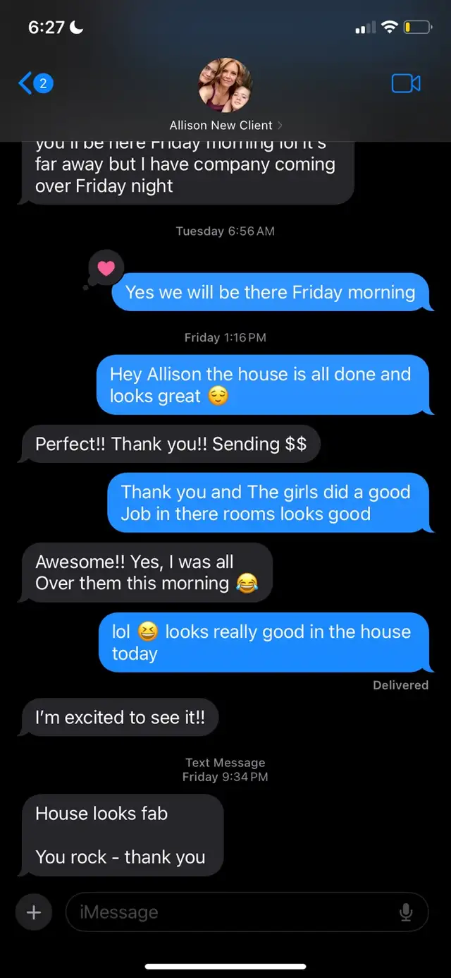 professional cleaning lady 64186412038274122