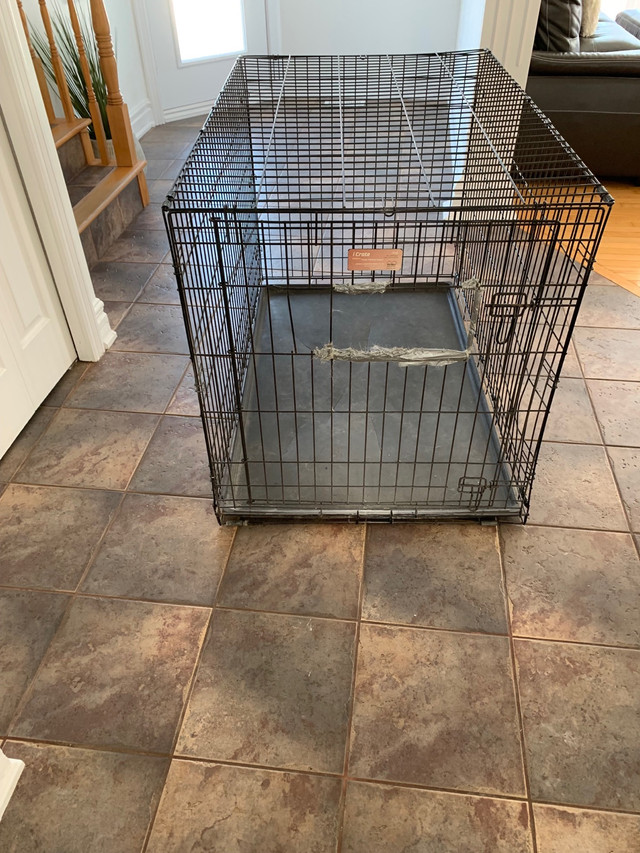 Extra large dog cage/Extra large cage à chien in Accessories in Gatineau