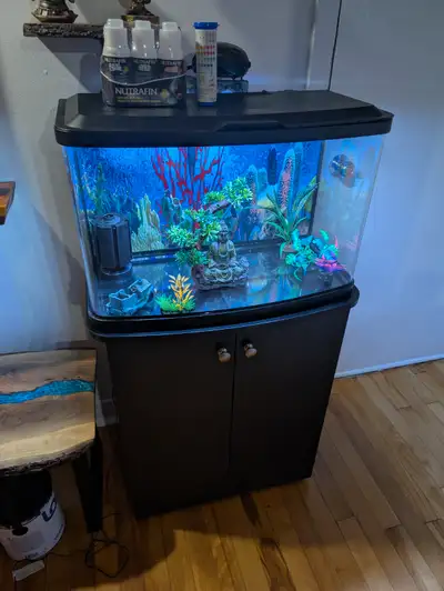Aquarium fluval panoramique Vista avec meuble, View more