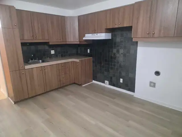 Beautiful 4.5-room apartment in Longueuil, $1,200, semi-basement