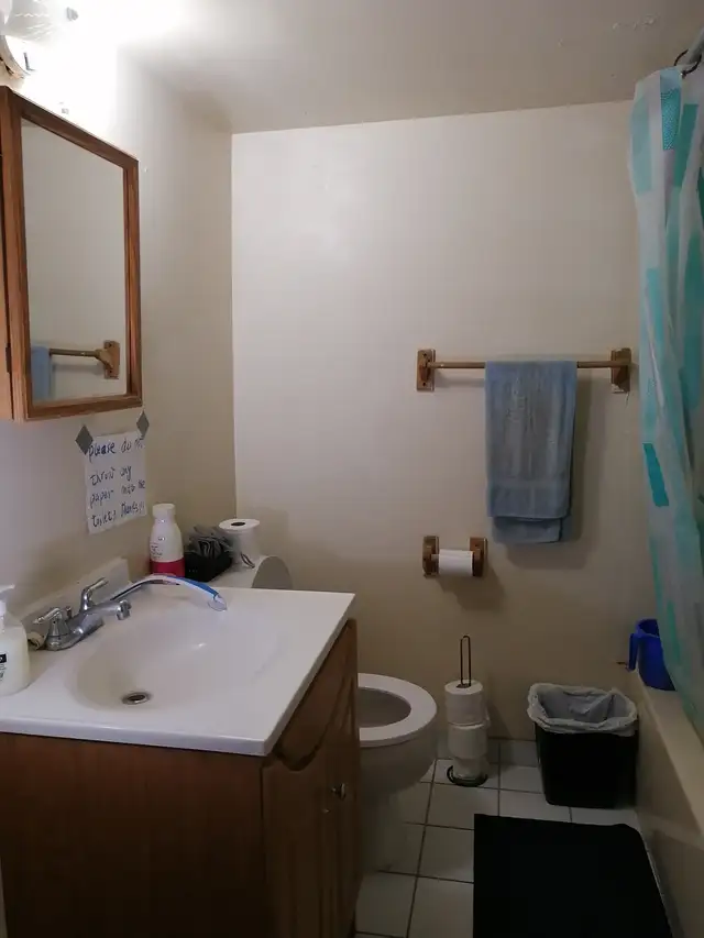 A large basement bedroom in Room Rentals & Roommates in City of Toronto - Image 8