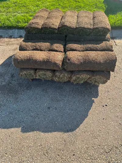 $25 for 25 Rolls of Kentucky Bluegrass Sod for Sale, View more