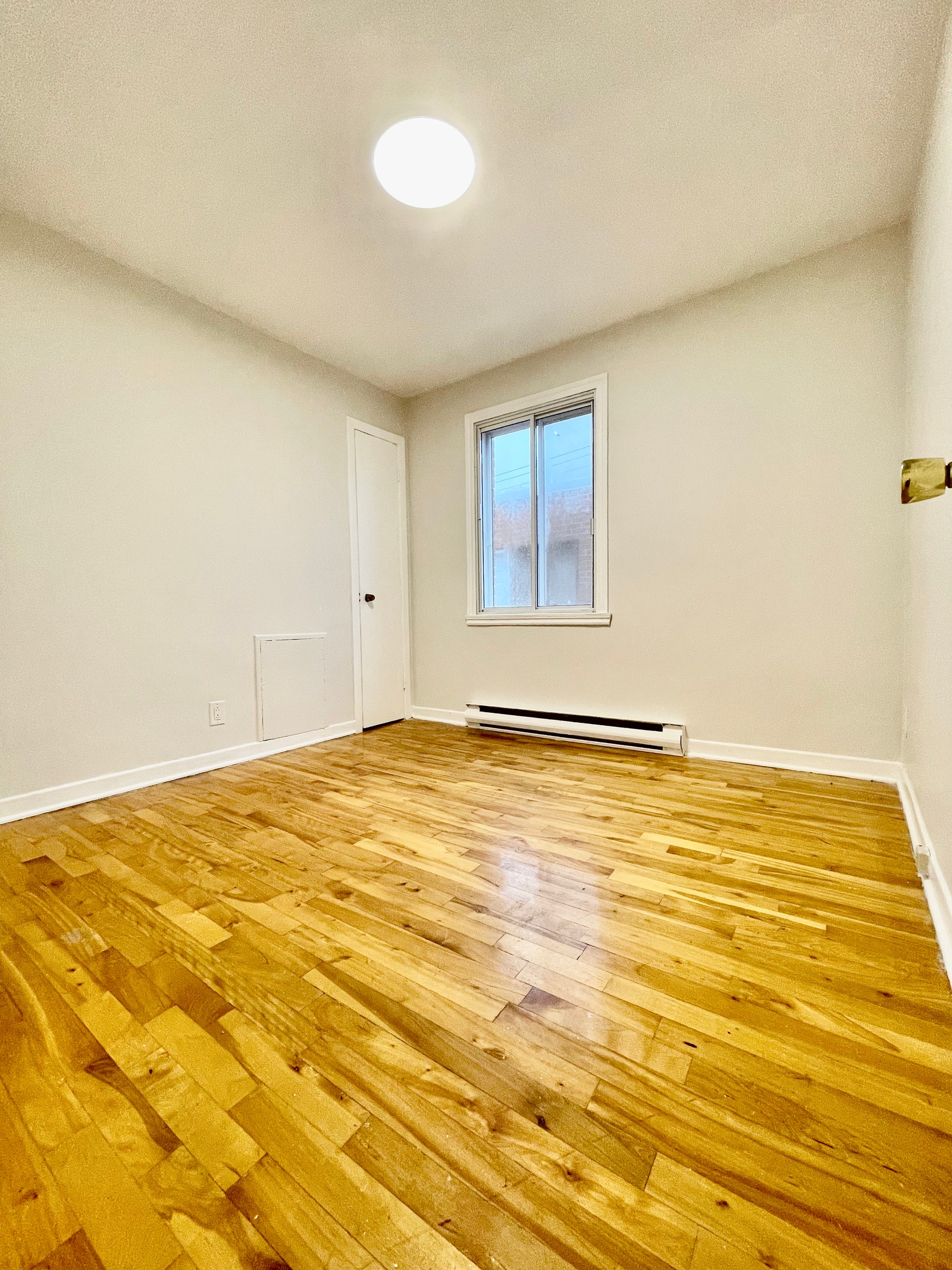 Sunlit 1-Bedroom Apt in LaSalle – Move-In Sept 1st! — photo 2