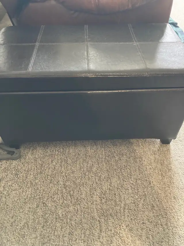 bench seat with storage in Storage & Organization in Winnipeg - Image 2