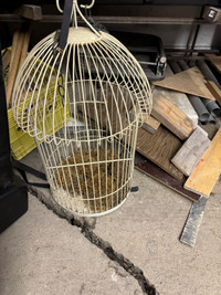 Used Bird cage