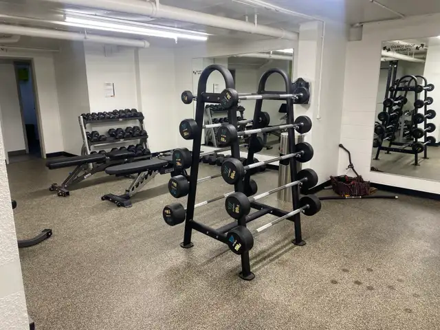 Now accepting new clients ( Private gym)65192922803587126
