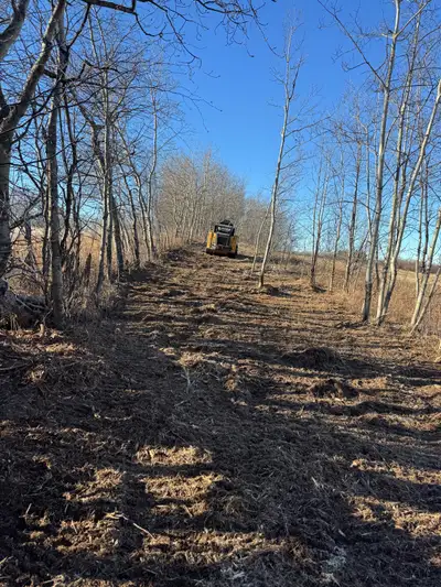 Mulching and land clearing services. Fire prevention Servicing Alberta