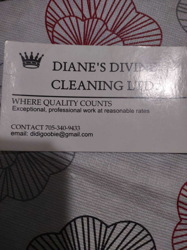 Diane's Divine Cleaning in Cleaners & Cleaning in Kingston - Image 2