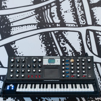 Minimoog Voyager Anniversary Edition