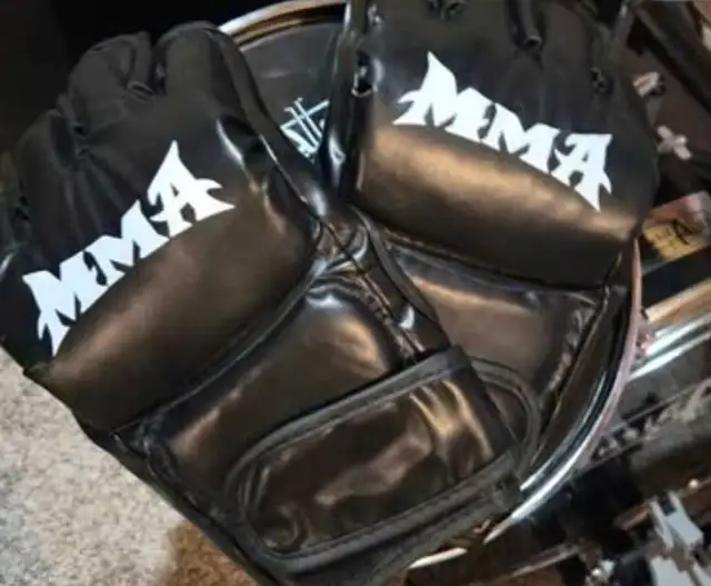 Smart Music Boxing Machine with MMA Gloves in Exercise Equipment in Woodstock - Image 3