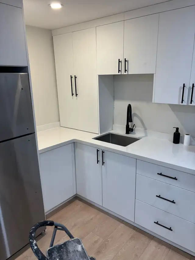 Professional Handyman Services555661648986777604