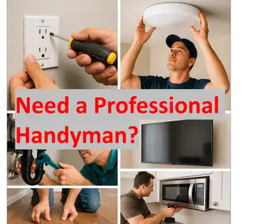 Need a Professional Handyman, View more