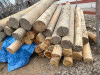 Cedar logs, cedar rounds and driftwood
