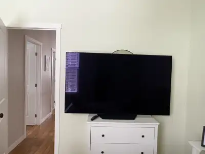 LG Oled 65” TV, View more