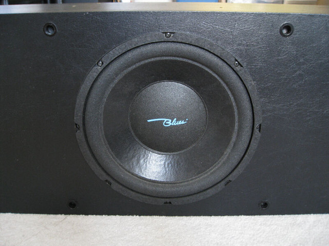 ~~~ BLUES TRISOBARIC SUBWOOFER BOX ~~~ in Speakers in City of Toronto - Image 3