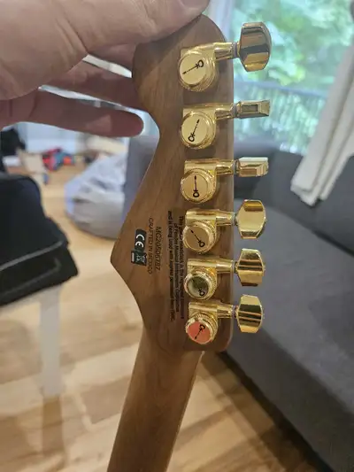 Charvel DK24 costomize, View more