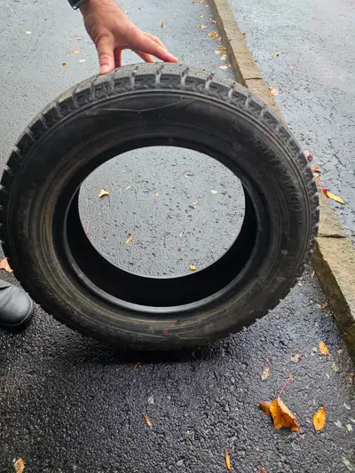 Four winter Dunlop tires Size: 205/60R16 Used 2 winters with low mileage about 2000km used.