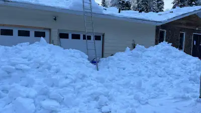 Snow removal n handyman services, View more
