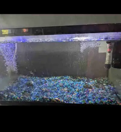 Fish Aquarium , View more