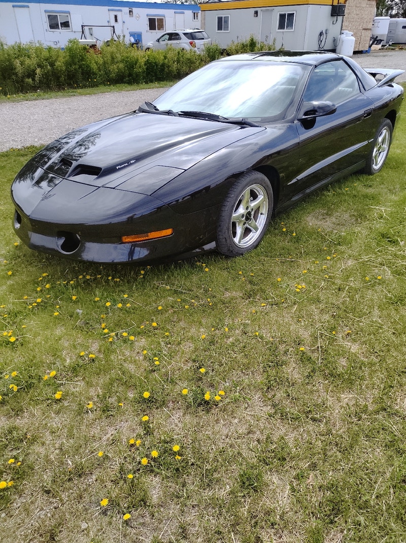 1997 Trans Am WS6 39000 kms Classic Cars Lethbridge Kijiji